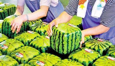 庄闲游戏·(中国区)有限公司官网